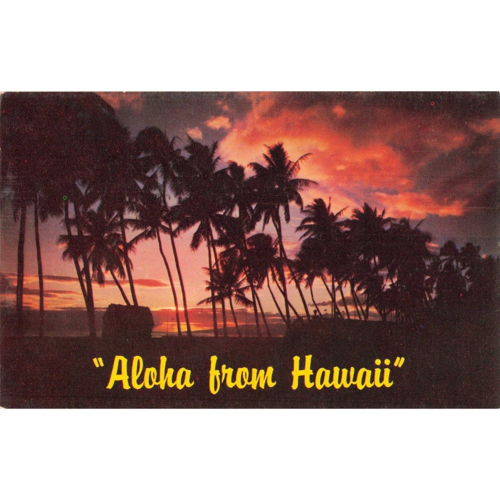 Vintage Aloha from Hawaii Sunset Palm Trees Postcard Mike Roberts C6240 VG+